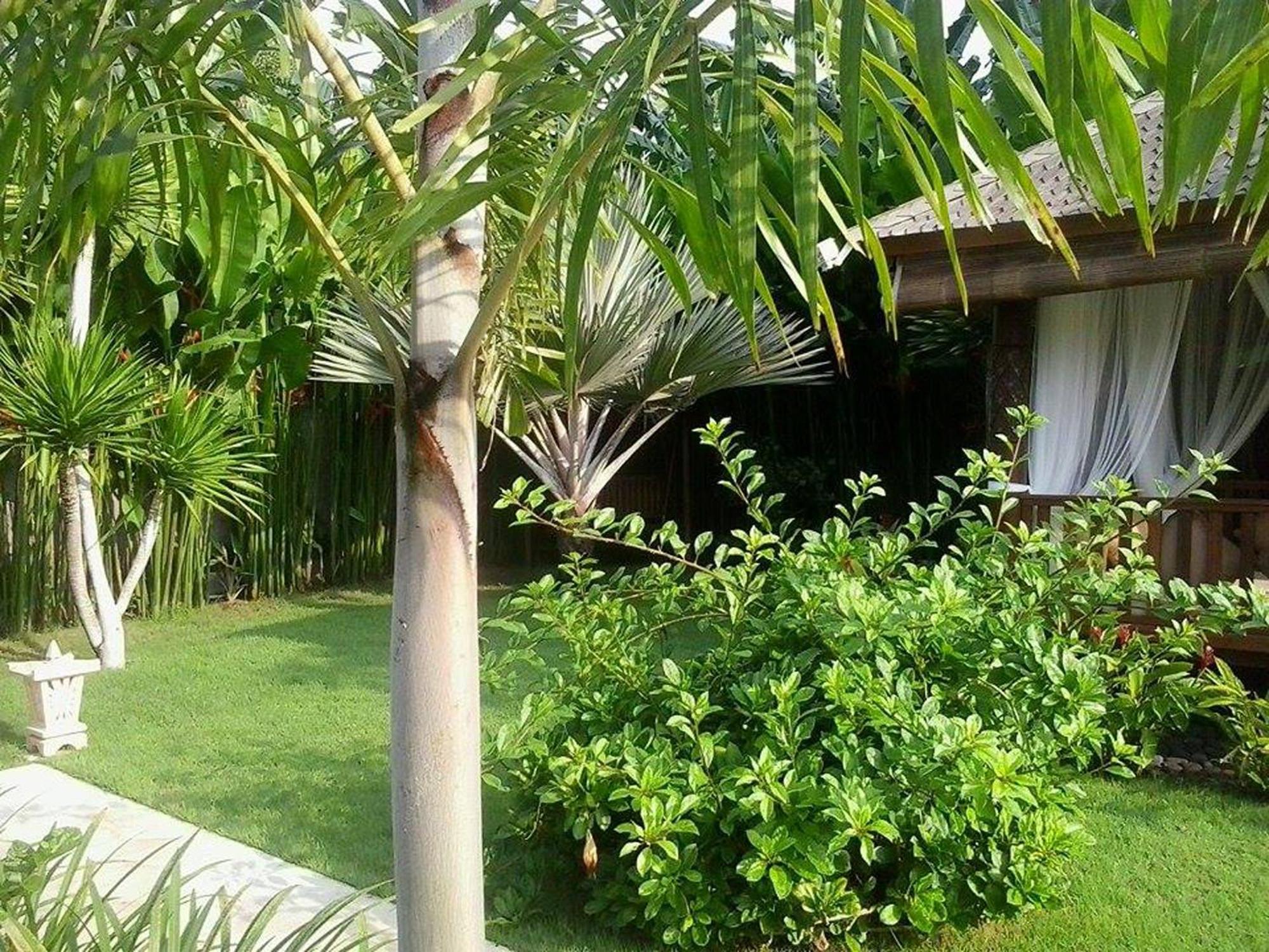 Villa Gusmania Candi Dasa  Room photo